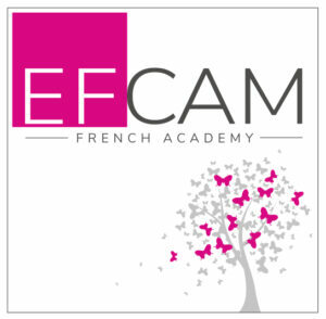 Logo-EFCAM-Audiovisuel